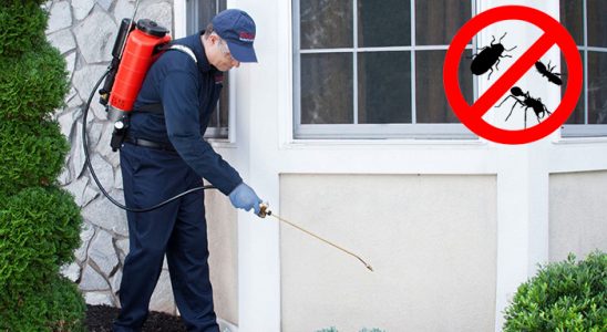 Akçakent Kemirgen İlaçlama böcek ilaçlama ve haşere kontrolü — ilaclama-tr.com